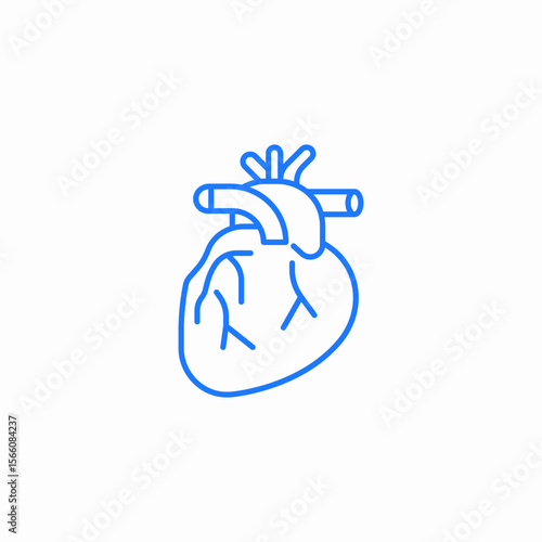 human heart icon sign vector