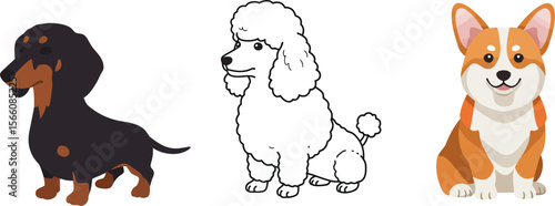 Cartoon dogs dachshund poodle corgi breeds illustration cute pets vector graphic design for kids learning