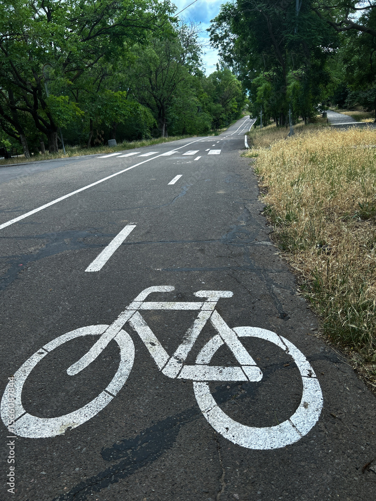 Obraz premium Bicycle lane on a scenic road surrounded by trees, located along the Health Route Trasa Zdorovia in Odesa, Ukraine. The bike path is marked with a white bicycle symbol and stretches into the distance