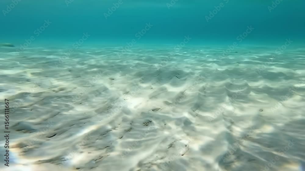 Serene Underwater Scene with Sandy Seabed Ripples and Clear Turquoise Water with Sunlight Reflection Serene Underwater Scene with Sandy Seabed Ripples and Clear Turquoise Water with Sunlight Reflection