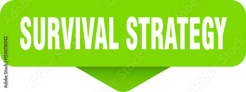 survival strategy sticker. survival strategy sign on transparent background