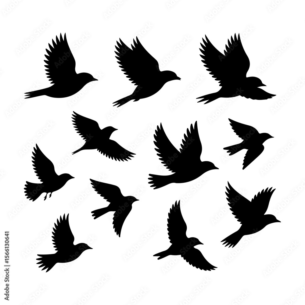 Unique and high quality Flock of birds silhouette set Unique and high quality Flock of birds silhouette set