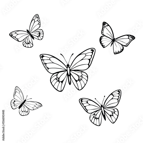 set of vector butterflies
