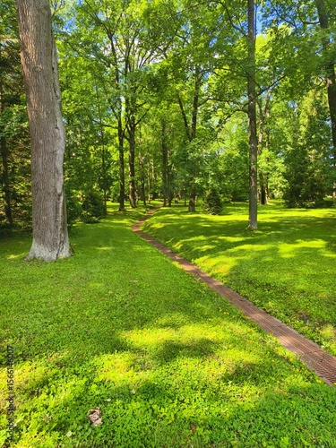  Saint-petersburg, Russia:24-July-2024:A quieter spot inside the gardens,a shady section with tall trees,green grass,a small narrow path or drainage line running through the lawn in Peterhof Palace