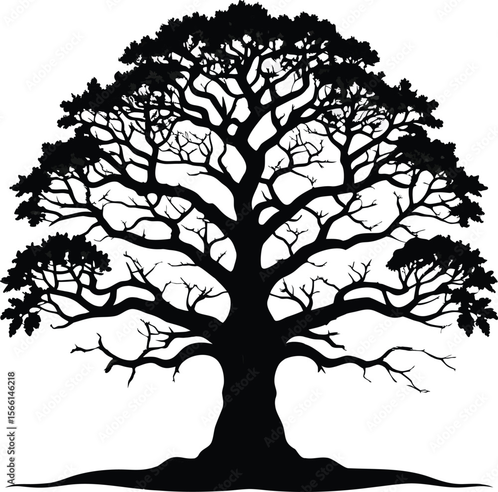 Obraz premium Majestic ancient oak tree with sprawling branches and detailed foliage in a striking black silhouette isolated on transparent background