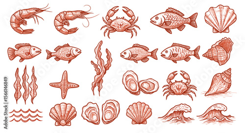 Hand drawn seafood and marine life vector illustration for nautical design
