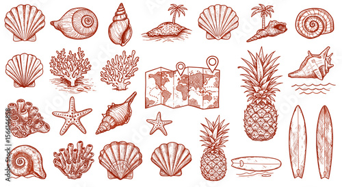 Vintage nautical and tropical vector illustration with seashells, pineapples, surfboards, and world map for print design