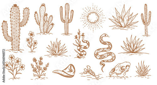 Desert elements vector illustration: cacti, snakes, and botanicals for design use