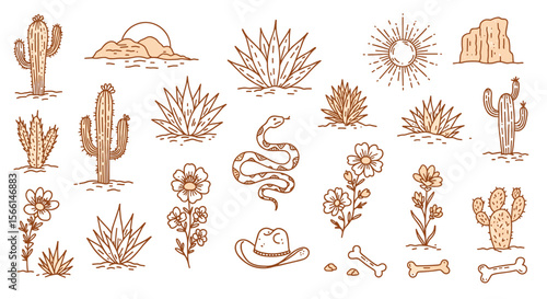 Desert elements vector illustration: cactus, snake, flowers, and sun in hand-drawn line art style for graphic design