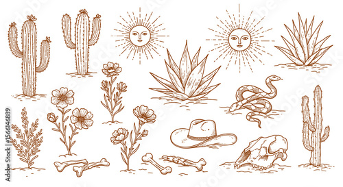 Western desert elements vector illustration with cacti, sun, and snake for design and print