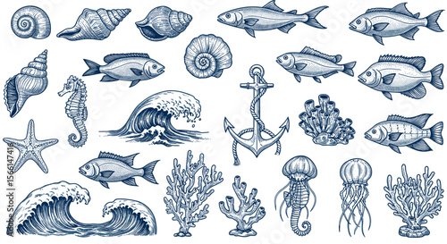 Nautical vector illustration featuring marine life and seashells in hand drawn style for print design