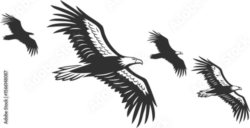 Vector art of four majestic eagles soar gracefully through the sky, their wings outstretched in a breathtaking display.