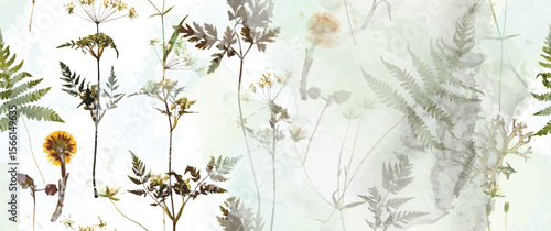 Fern__Back-02_07.eps