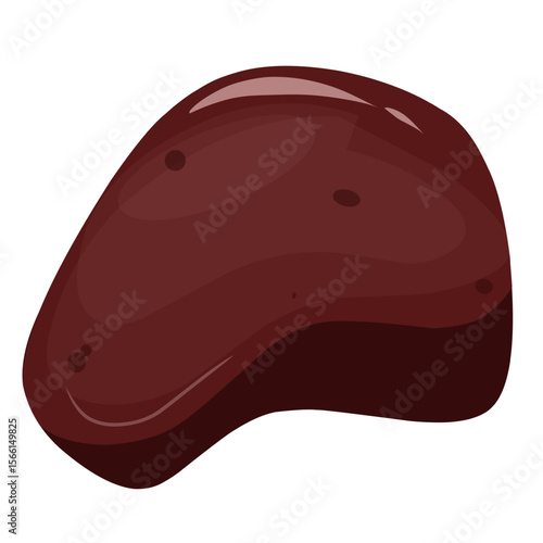 Beef liver illustration,vector beef cut