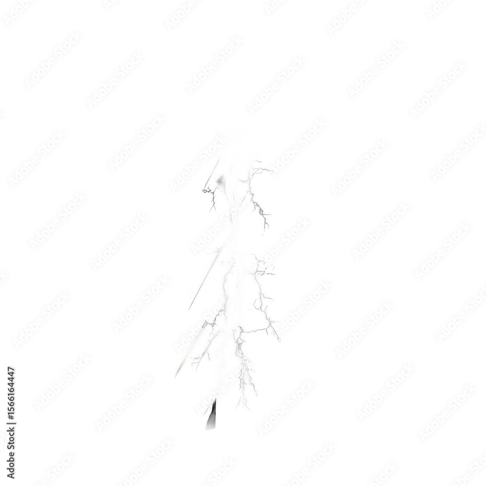 Fototapeta premium Abstract white, textured, branching structure