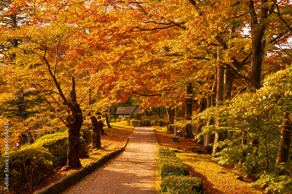 Naklejka premium 秋田の千秋公園、秋景色