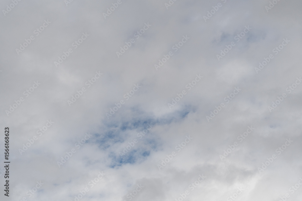 Obraz premium 見上げると綺麗な青い空 