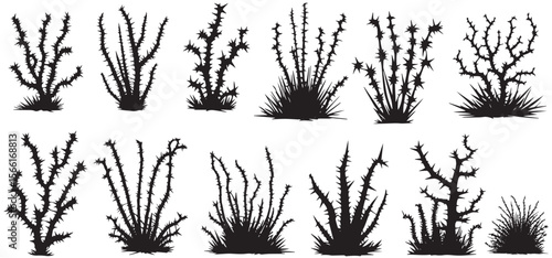 silhouette of a thorny bush with spiky branches and dry grass vector set