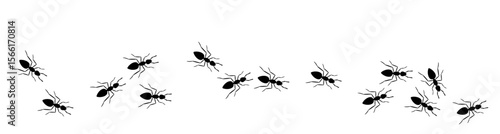 Black silhouette trail of ants marching in random directions. Insect line vector illustration for biology, nature education, pest control, or design elements.