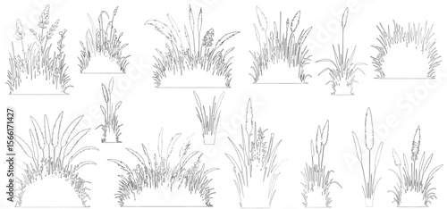 Set of grass line cad and silhouettes isolated on white background. Ground cover. Illustration for elevation architectural element, side view, grass  vector illustration