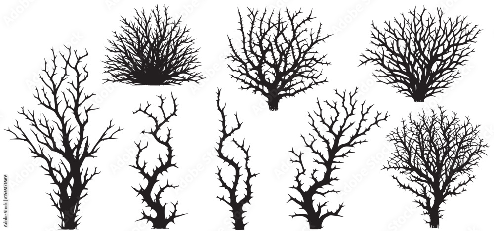 Obraz premium silhouette leafless desert shrub with dry branches set. vector