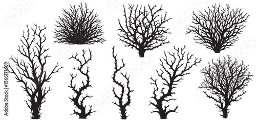 silhouette leafless desert shrub with dry branches set. vector
