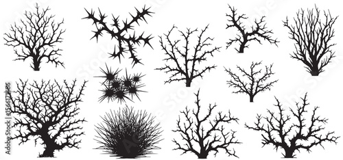 Black silhouette of a thorny bush with spiky branches and dry grass set  isolated on white background. vector illustration