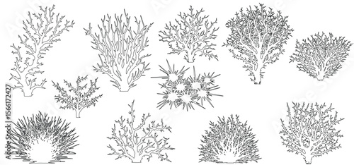 Set of thorn grass bushes and branch line cad and silhouettes isolated on white background.