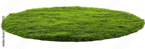 Oval patch of vibrant green grass (1)