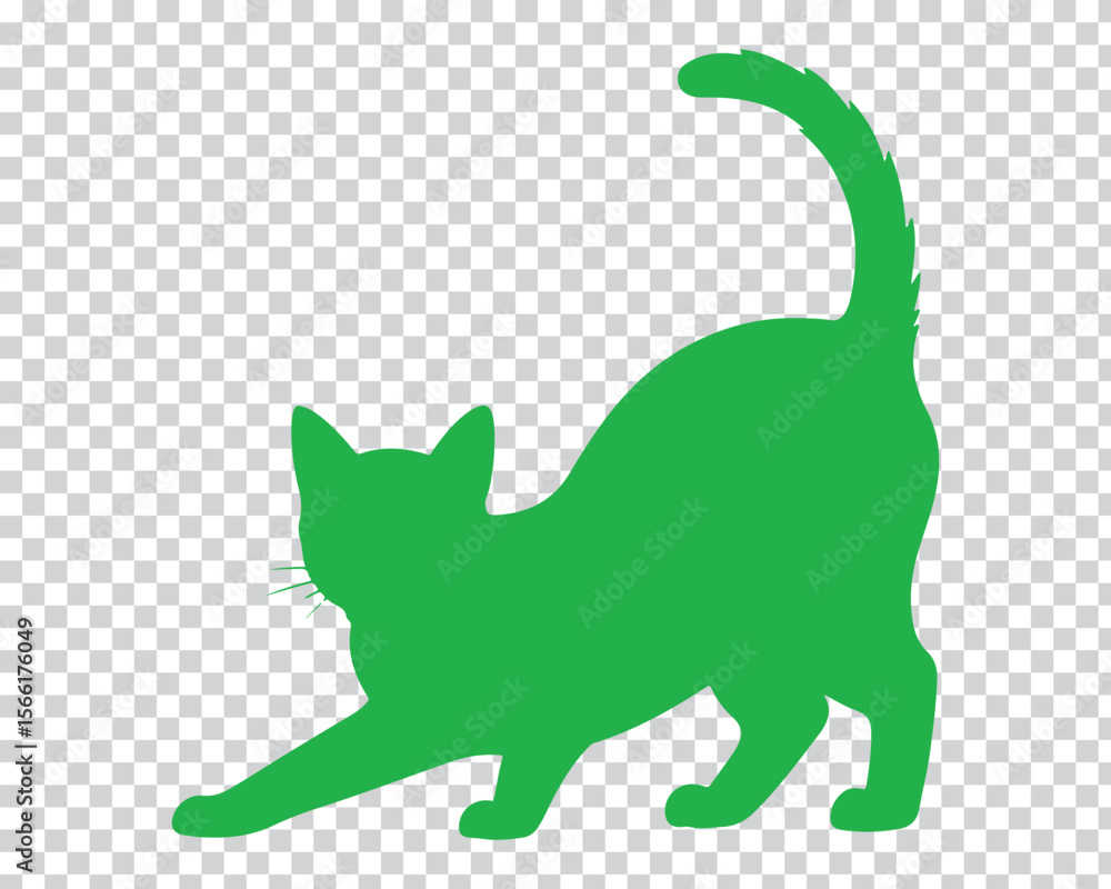 Fototapeta premium Green cat stretching on transparent background silhouette