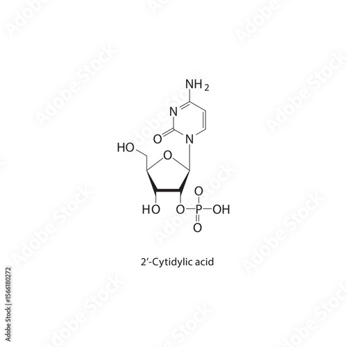 2’-Cytidylic acid skeletal structure. Nucleotide compound schematic illustration. Simple diagram, chemical formula.