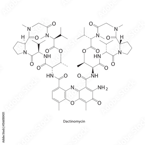 Dactinomycin skeletal structure. Antibiotic compound schematic illustration. Simple diagram, chemical formula.