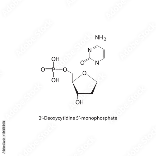 2’-Deoxycytidine 5’-monophosphate skeletal structure. Nucleotide compound schematic illustration. Simple diagram, chemical formula.