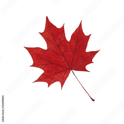 Vector watercolor illustration / 水彩テイストの紅葉イラスト