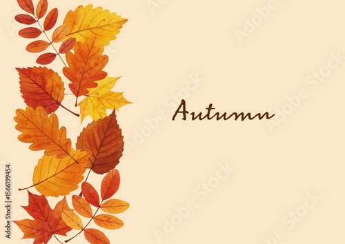 Vector watercolor illustration / 水彩テイストの紅葉イラスト