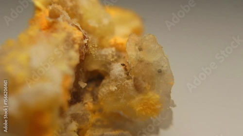 Close-up of Drosophila melanogaster fruit flies clustering on spoiled rice, showing detailed texture of decay and pest activity in macro view.