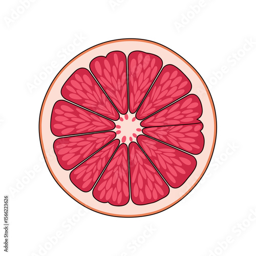 Grapefruit slice on a transparent background, citrus fruit concept
