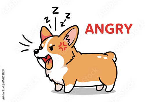 Cartoon Corgi Dog Expressing Anger with Red Face and Open Mouth.