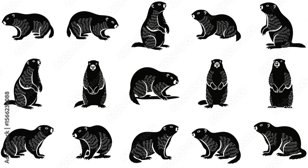 Obraz premium Marmots in various poses showcasing playful and curious behavior 