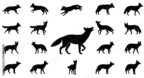 Black silhouettes of foxes in various poses and positions  