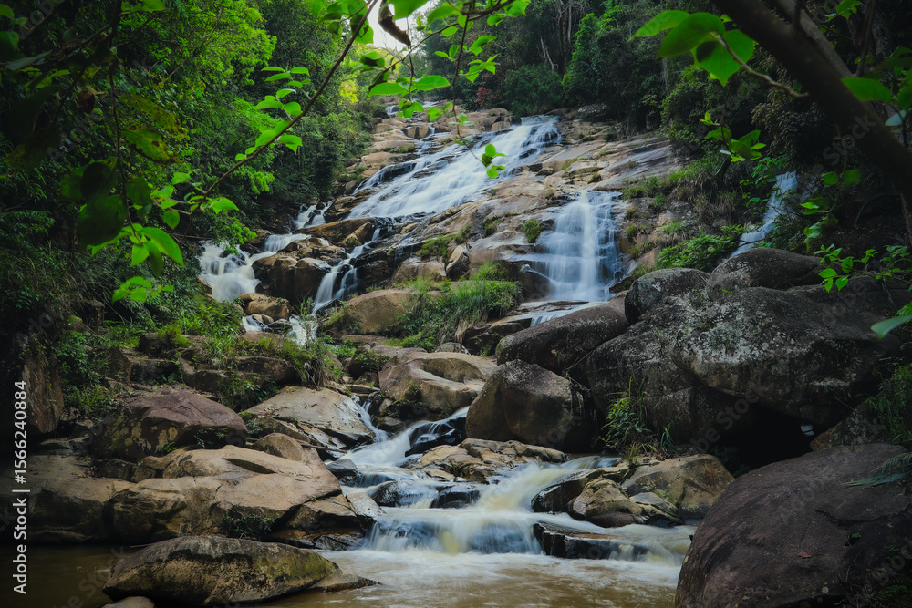 Fototapeta premium Waterfall in Lush Jungle