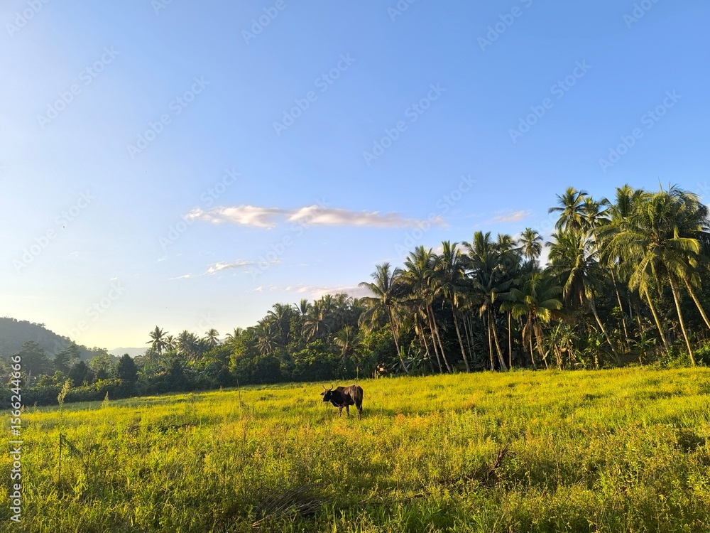 Naklejka premium natural beauty with trees and grass.