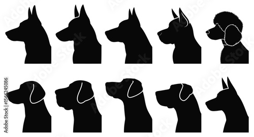 Silhouettes of diverse dog breeds in side profile – black canine head shapes collection for identification, charting, and design