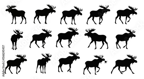 Silhouettes of moose in different poses against white background  