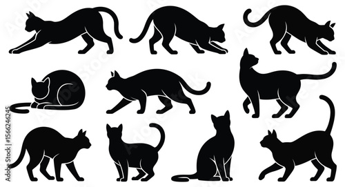Black cat silhouette illustrations in various poses including sitting, stretching, walking and playing — ideal for graphic design projects
