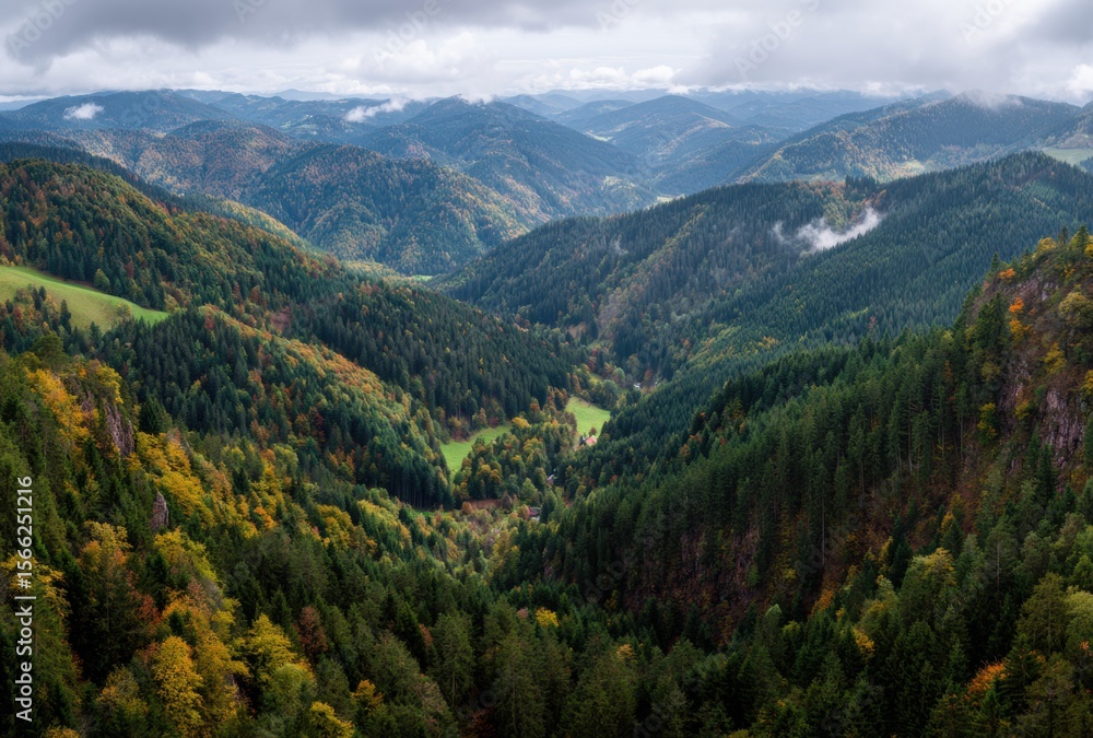 Obraz premium mountain landscape with trees