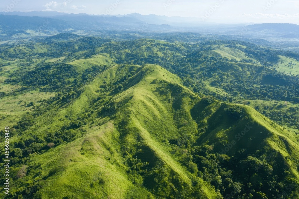 Fototapeta premium Expansive aerial view of steep green mountains under clear blue sky in a lush landscape, Aerial view of steep green mountains under clear sky