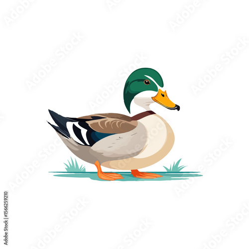 duckling