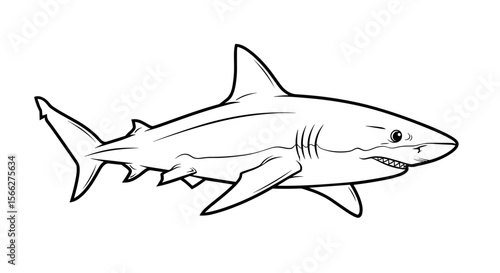 Shark illustration with detailed lines and powerful form in black and white