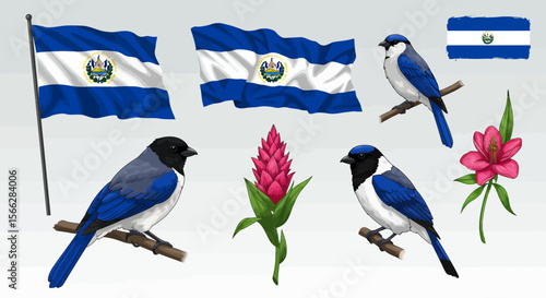 A vibrant vector collection showcasing the national symbols of El Salvador, including its waving flags, beautiful blue birds, and tropical flowers.